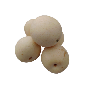 Century Pear – Pack of 5 pcs