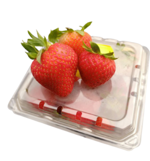 Strawberry USA Driscoll’s – Pack of 250g